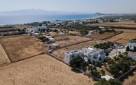 Naxos Harmony